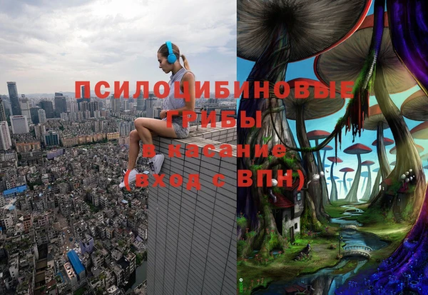 гидропоника Балабаново