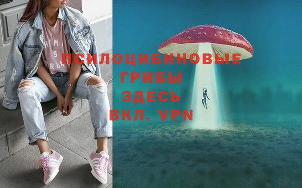 гидропоника Балабаново
