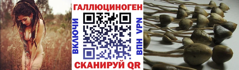 Псилоцибиновые грибы Psilocybine cubensis kraken ТОР Ликино-Дулёво